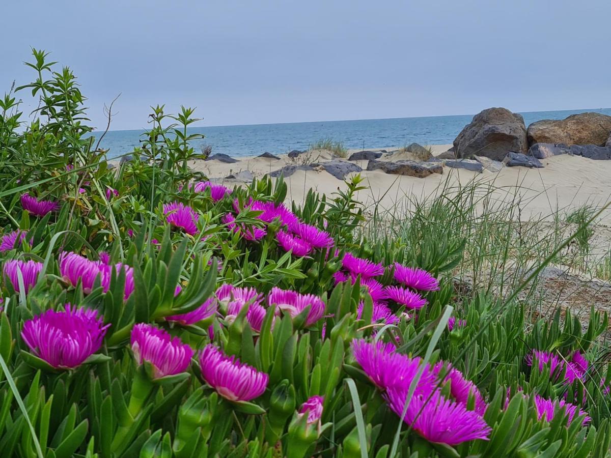 Camping Les Sables D'Or Cap D'Agde Le Grau-dʼAgde المظهر الخارجي الصورة
